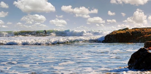 Surfer in the surf on the Pacific beach near Cambria