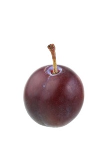 Cherry plum