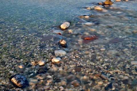 Rocks in the Tagliamento braided river