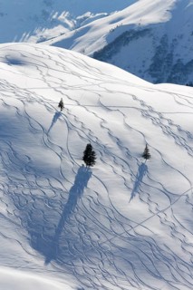 Ski tracks in deep snow