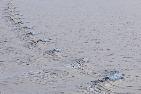 Bow waves