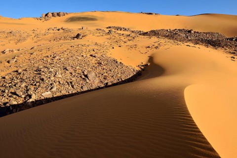 Dunes Noires