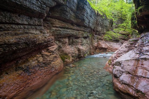 Stream of the Taugl river