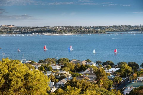 Sailing boats at Waitemata Harbour