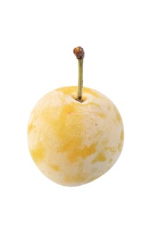 Mirabelle of Nancy