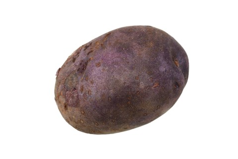 Potato