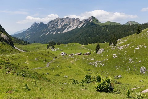 Laguz Alps with Breithorn Mountain