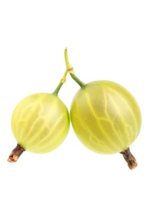 Gooseberries(Ribes uva-crispa)