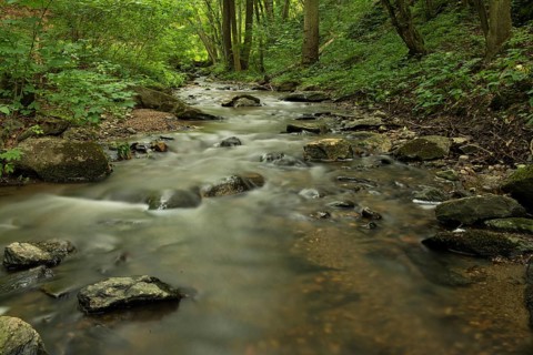 Kajabach stream