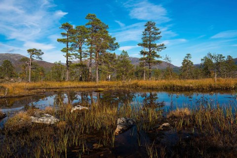Lake