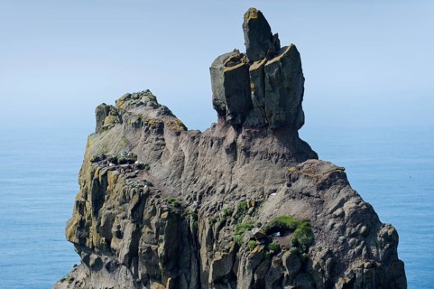 Bird rock