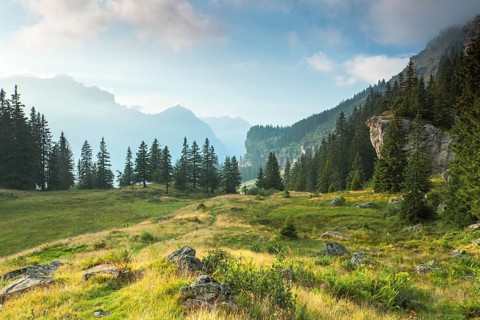 Countryside with mountains and meadows in the Glarus Alps