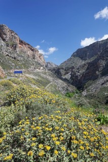 Kourtaliotiko gorge