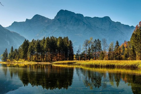 Autumn at Almsee lake