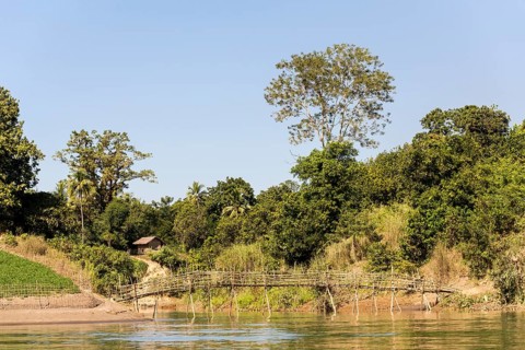Bridge in the village of the Chin people