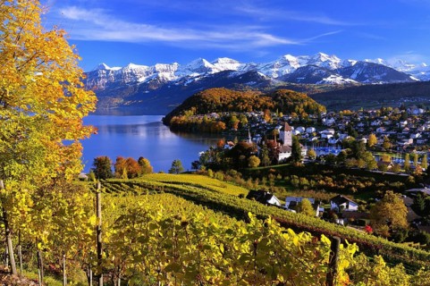 Townscape of Spiez on Lake Thun with the snow-covered Bernese Alps