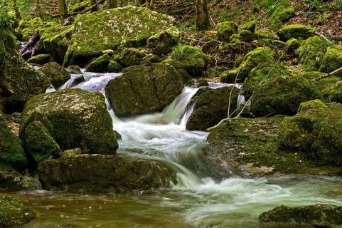 Rapids in a rushing creek