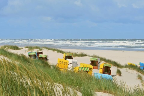Sandy beach beach
