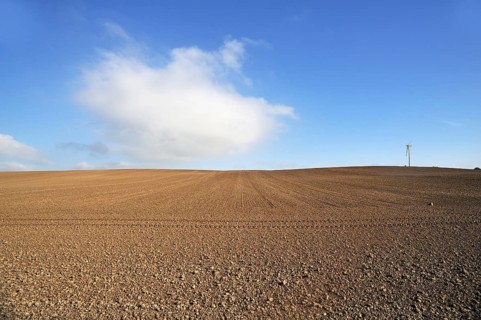 Large field ready for sowing