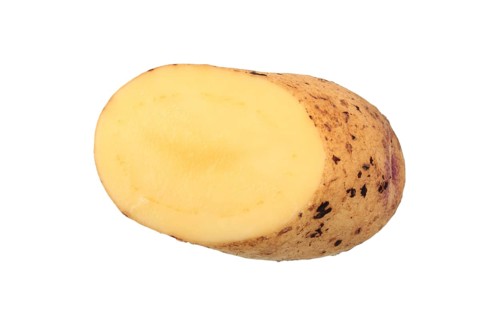 Potato