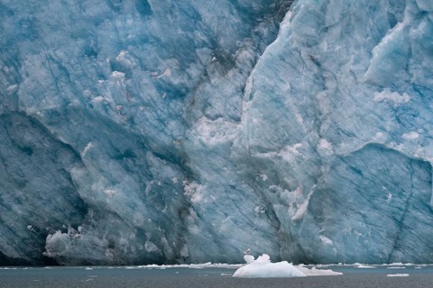 Ice at the glacier edge