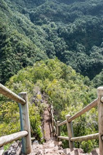 Hiking trail