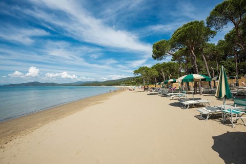 Deck chairs on the beach