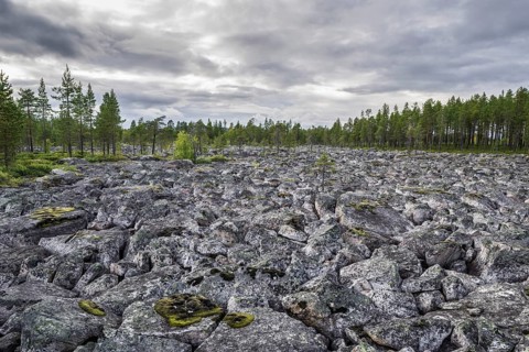 Plain covered in rocks