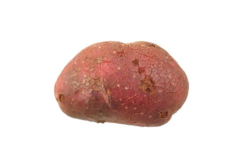 Potato