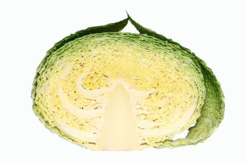 Savoy Cabbage (Brassica oleracea var sabauda)