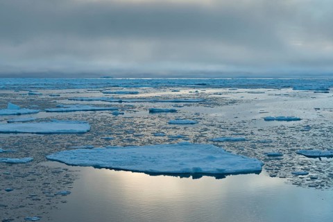 Ice floes