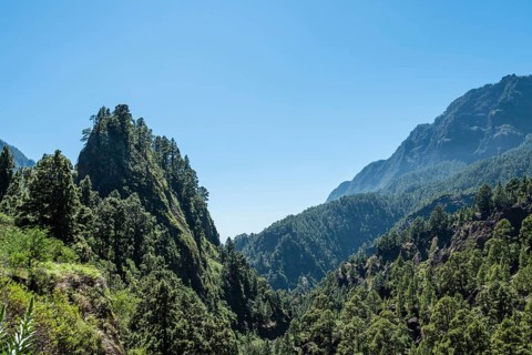 Landscape in the Caldera de Taburiente National Park