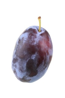 Plum