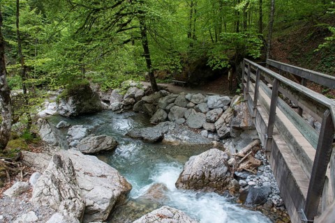 Boardwalk in the Seisenbergklamm