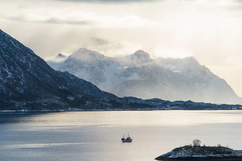 Fjord in winter