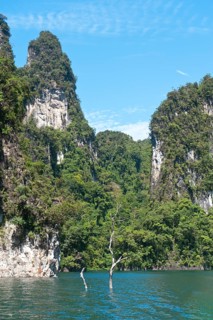 Forested karst limestone mountains with jungle vegetation rising from the water