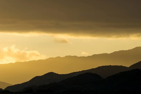 Hills in the evening light