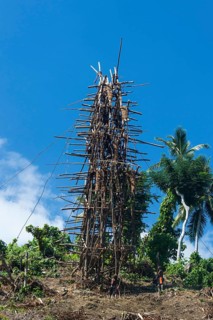 Bamboo tower for the Pentecost land diving