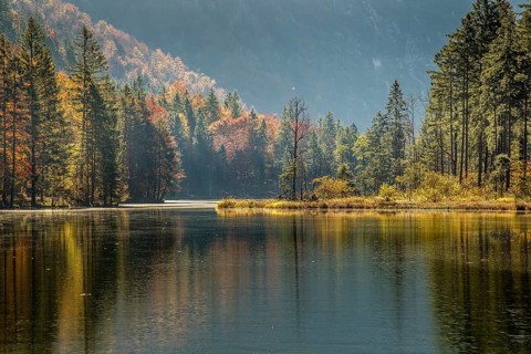Autumn at Almsee lake