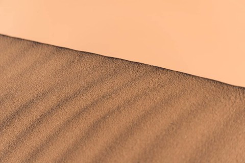 Ridge of a dune