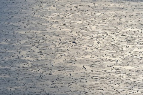 Pancake ice