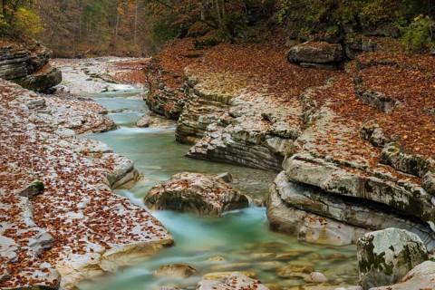 Autumn in the Tauglgries Nature Reserve