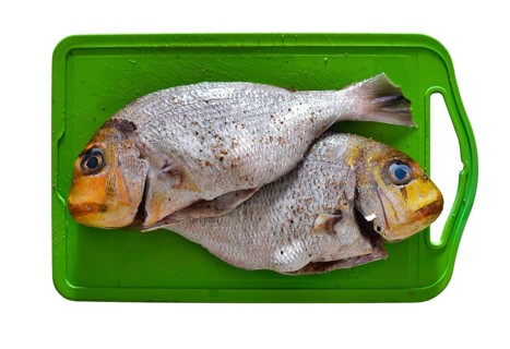 Two gilthead seabreams prepared for frying on a kitchen board