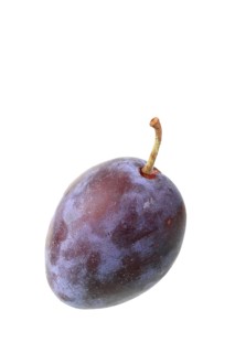 Italian plum