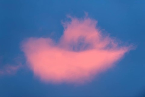 Clouds in the evening light