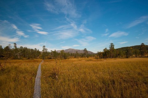 Hiking trail