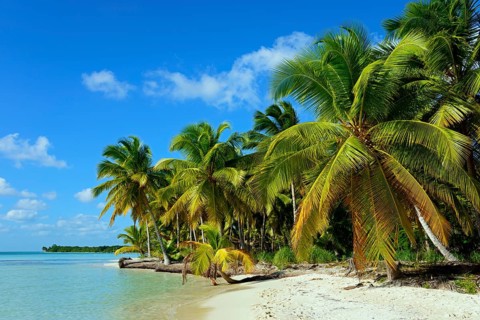 Palm Beach