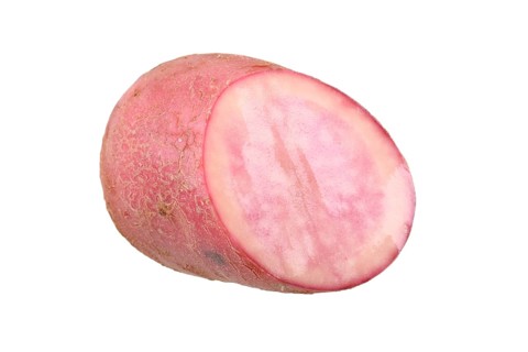 Potato