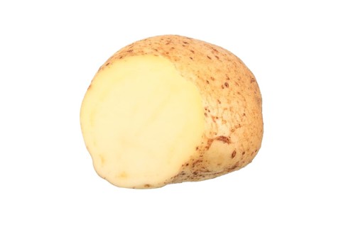 Potato