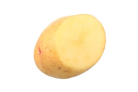 Potato